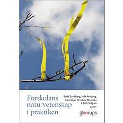 Förskolans naturvetenskap i praktiken (Häftad)