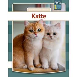 Katte (Indbundet, 2020)