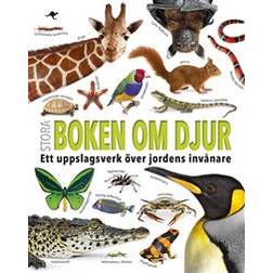 Stora boken om djur (Inbunden, 2020)