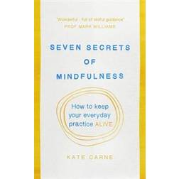 Seven Secrets of Mindfulness (Paperback, 2016)