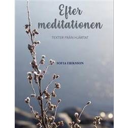 Efter meditationen: texter från hjärtat (Inbunden)