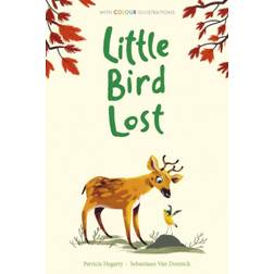 Little Bird Lost (Inbunden, 2020)