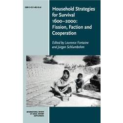 Household Strategies for Survival 1600-2000 (Häftad, 2001)