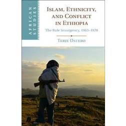 Islam, Ethnicity, and Conflict in Ethiopia (Inbunden, 2020)