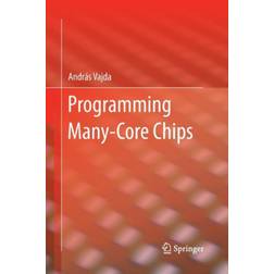 Programming Many-Core Chips (Geheftet, 2014)