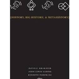 History, Big History, & Metahistory (Hardcover, 2018)
