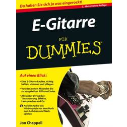 E-Gitarre fur Dummies (2015)