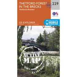Thetford Forest in the Brecks (2015)