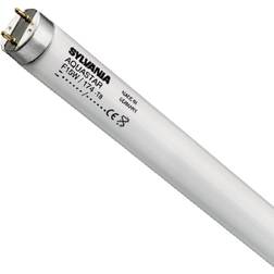 Sylvania 0002222 Fluorescent Lamp 36W G13