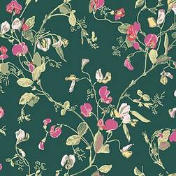 Cole & Son Tapete Sweet Pea von and Pink Green vert