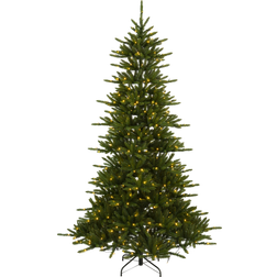 Star Trading Minnesota with LED Green Weihnachtsbaum 250cm