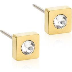Blomdahl Petite Square Earrings - Gold/Transparent