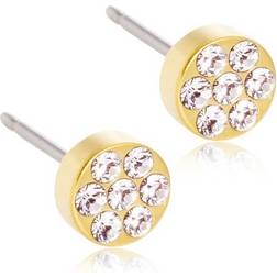 Blomdahl GT Brilliance Plenary Earrings - Gold/Transparent