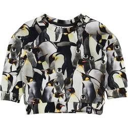 Molo Dag - Penguins Galore (3W19J203 6018)