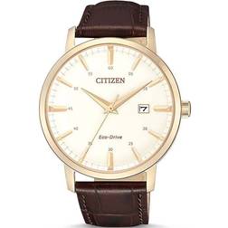 Citizen Eco Drive (BM7463-12A)