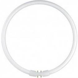 BELL Lighting 05469 Fluorescent Lamp 60W 2GX13