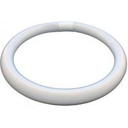BELL Lighting 04192 Fluorescent Lamp 40W G10q