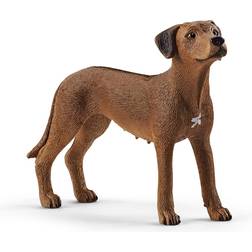 Schleich Rhodesian Ridgeback 13895