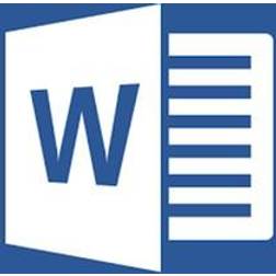 Microsoft Word 2010