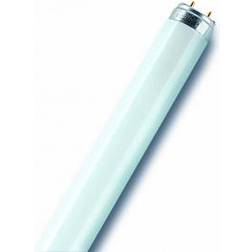 Osram L XT Fluorescent Lamp 36W G13