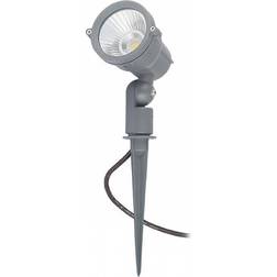 Rendl Gary Spotlight