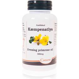 Camette Kæmpenatlys 180pcs 180 st