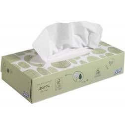 Scott Facial Tissues