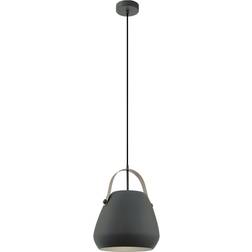 Eglo Bednall Pendel ∅ 29cm
