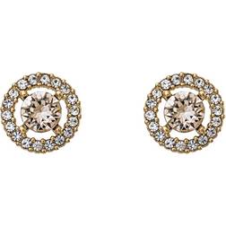 Lily and Rose Miss Miranda Earrings - Gold/Light Silk