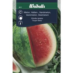 Weibulls Vandmelon Frugt- & Bærfrø