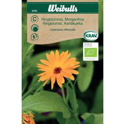 Weibulls Økologiske Morgenfruer Blomsterfrø