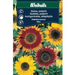 Weibulls Solros Pollenfri Mix Blomsterfrø
