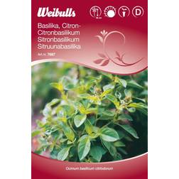 Weibulls Lemon Basil Krydderurtefrø
