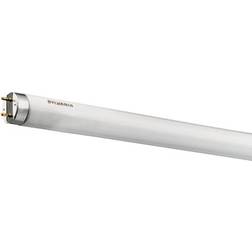 Sylvania 0000137 Fluorescent Lamp 14W G13