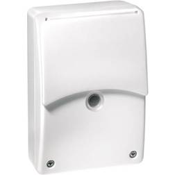 Esylux CDS-A/T Hämäräkytkin RAL9010
