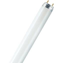 Osram T8 Lumilux 36W 830 Luce Calda 120cm