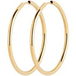 Maria Black Senorita 35 Earrings - Gold