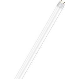 Osram ST8AU-EM 3000K LED Lamps 15.1W G13