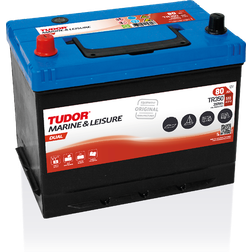Exide TR350