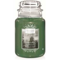 Yankee Candle Evergreen Mist Large Doftljus 623g