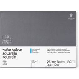 Winsor & Newton Professional Water Colour Block Cold Press 23x31cm 300g 20 sheets