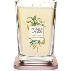 Yankee Candle Citrus Grove Large 2 Wick Duftlys 552g