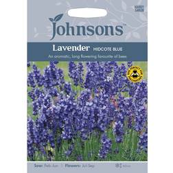 Johnsons Seeds Lavender Hidcote Strain 100 Seeds