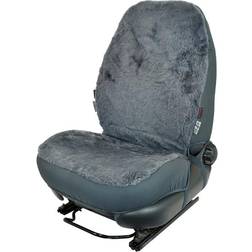 Carpoint 0310096