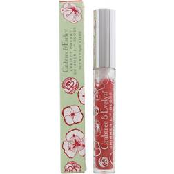 Crabtree & Evelyn Shimmer Lip Gloss Apricot Orange