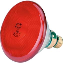 Philips Ampoule ir/par rouge 100W