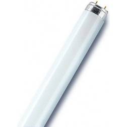 LEDVANCE L Fluorescent Lamp 36W G13 940