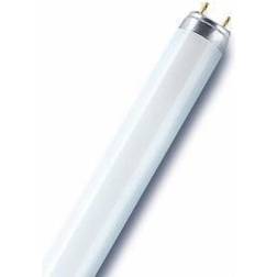 LEDVANCE L Fluorescent Lamp 58W G13 76