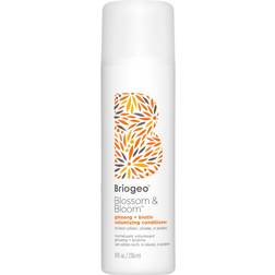 Briogeo Blossom & Bloom Ginseng + Biotin Volumizing Conditioner