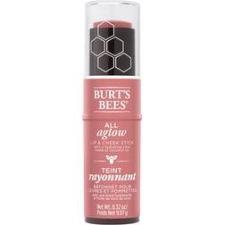 Burt's Bees All Aglow Lip & Cheek Stick #1250 Suez Sands